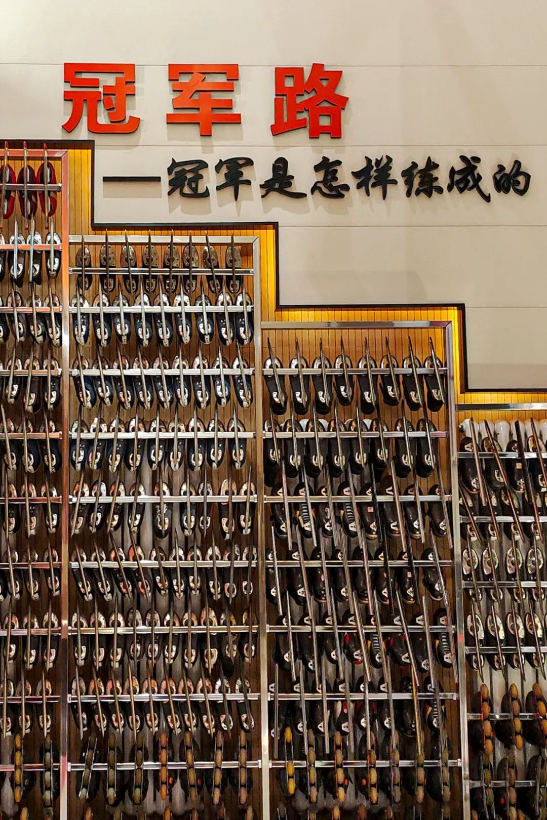 滑冰冠军王蒙_速度滑冰蒙到冠军了吗_速滑冠军王蒙