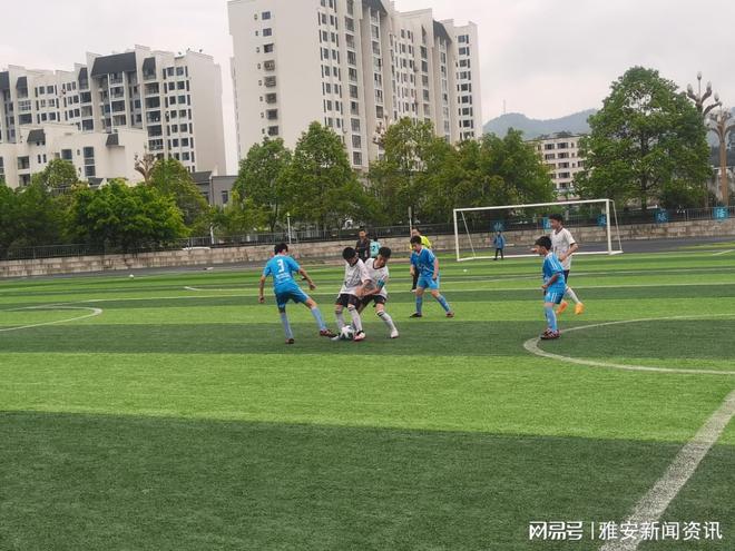 荥经县2023年文轩杯中小学生足球锦标赛